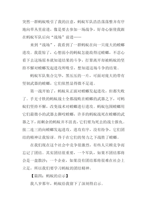 蚂蚁的启示作文-6.docx