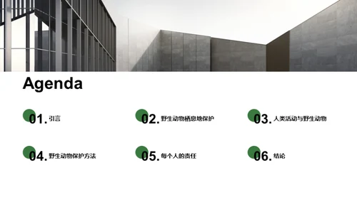 3D风其他行业教学课件PPT模板