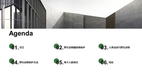 3D风其他行业教学课件PPT模板