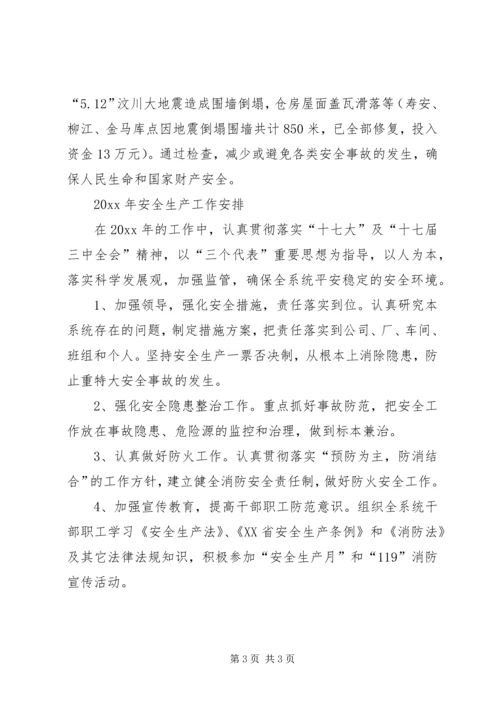 粮食局安全生产工作总结及工作计划 (2).docx