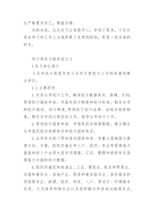 统计局实习报告范文.docx