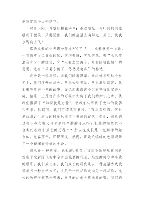 感悟成长的中考满分作文800字.docx