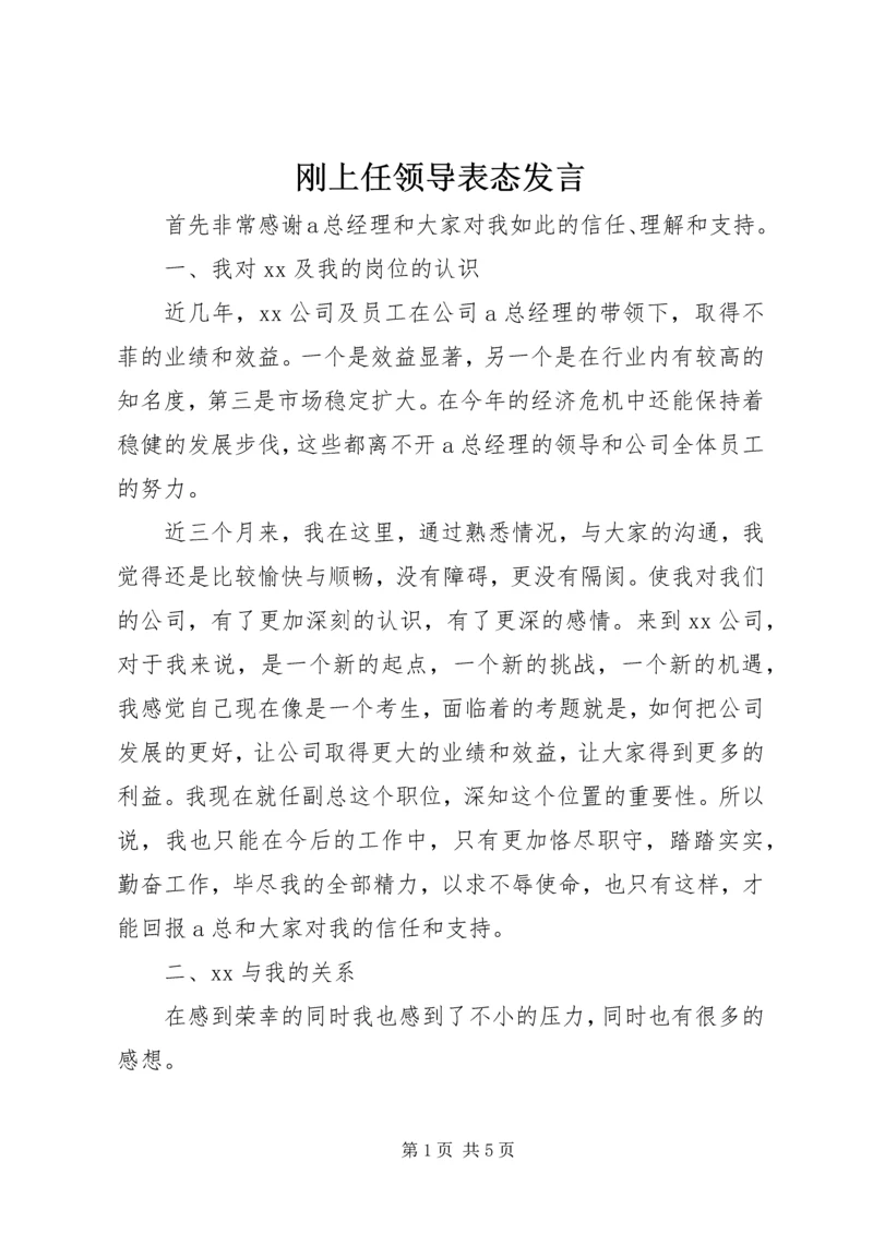 刚上任领导表态发言.docx