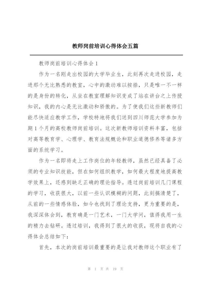 教师岗前培训心得体会五篇.docx