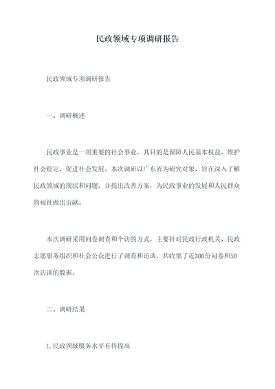 民政领域专项调研报告