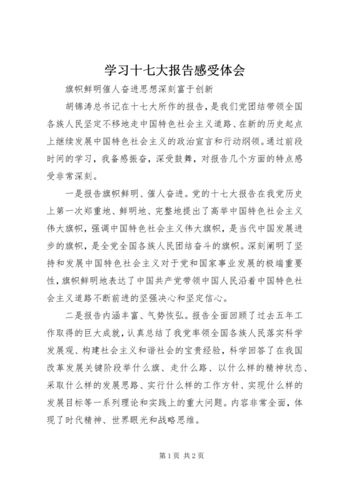 学习十七大报告感受体会 (2).docx