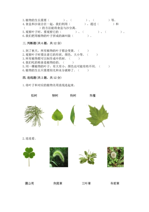 教科版科学一年级上册第一单元《植物》测试卷【夺冠系列】.docx