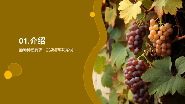 葡萄种植新纪元