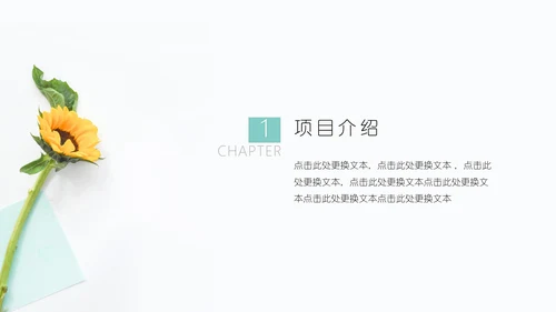 向日葵述职报告通用PPT模板