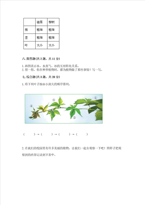 教科版科学一年级上册第一单元植物测试卷完整版