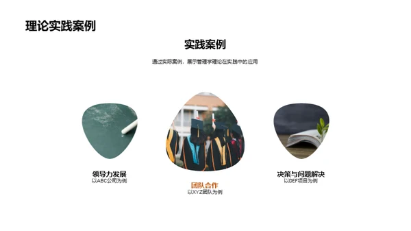 管理学研究解析