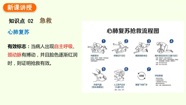 8.2用药与急救-八年级生物人教版下学期同步精品课件(共38张PPT)