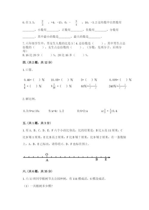 小学六年级数学摸底考试题含完整答案（典优）.docx