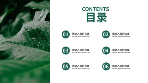 夏天的绿叶二十四节气夏至通用PPT模板