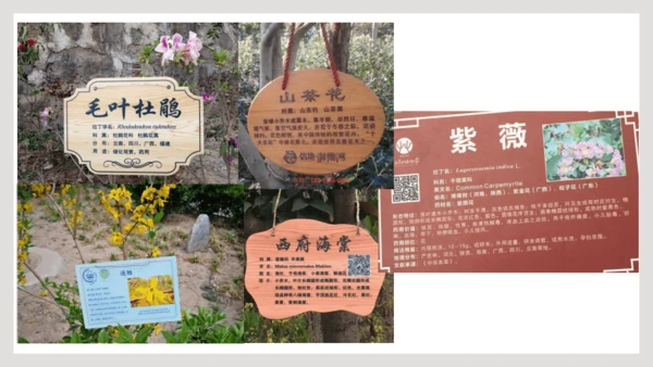 6.1.2+从种到界-【互动课堂】八年级生物上册精品课件（人教版）(共20张PPT)