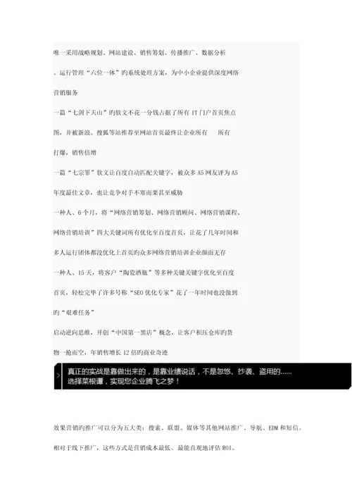 电子商务整体解决方案.docx