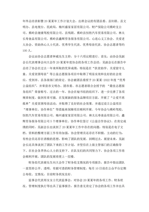 爱心协会年度工作总结.docx