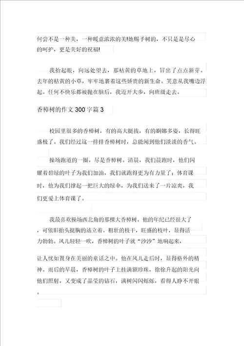 有关香樟树的作文300字汇编10篇