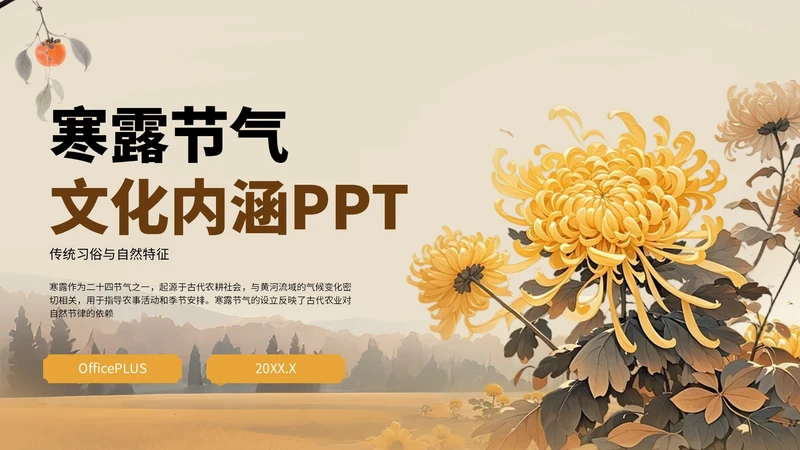 橙色中国风寒露节气PPT模板