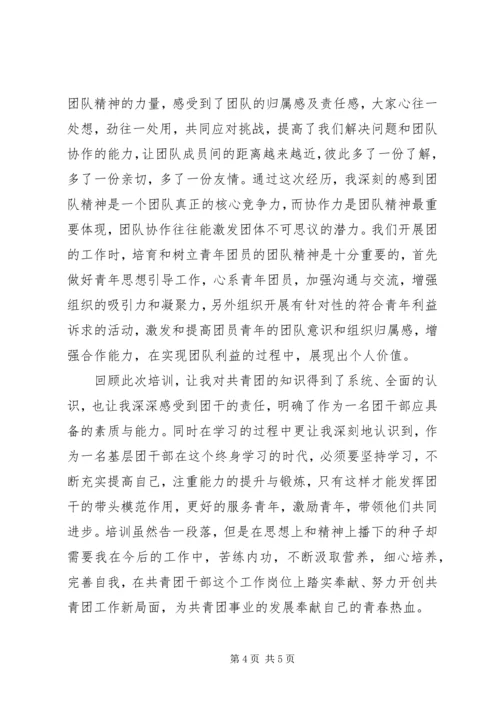 基层团支部书记培训心得 (2).docx