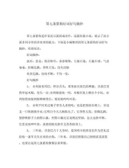第七条猎狗好词好句摘抄