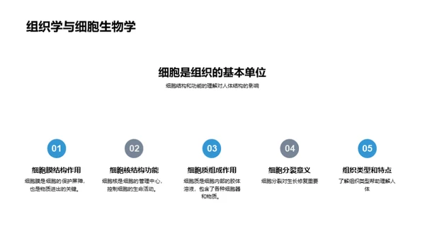 解剖学探索之旅