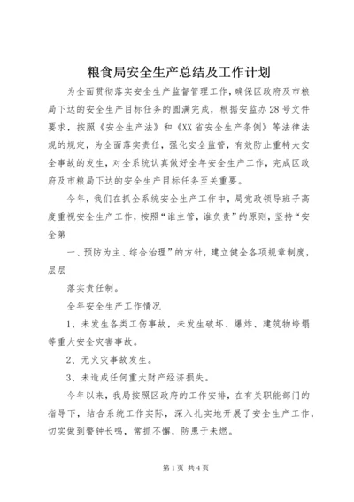 粮食局安全生产总结及工作计划 (2).docx