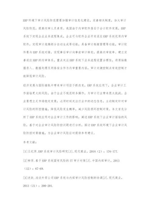 ERP系统下审计风险及其防控策略.docx