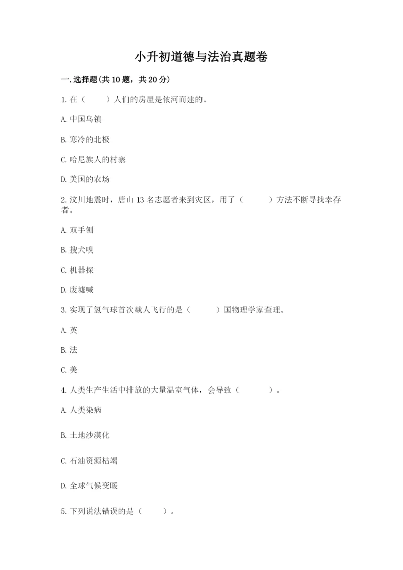 小升初道德与法治真题卷【模拟题】.docx