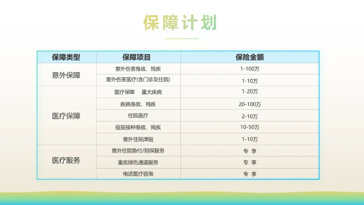 少儿儿童综合医疗保险工作总结汇报计划PPT