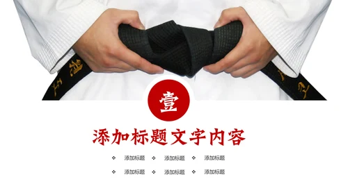武术跆拳道比赛空手道PPT模板