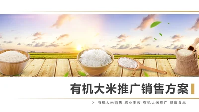 健康绿色有机大米农业粮食推广销售PPT模板