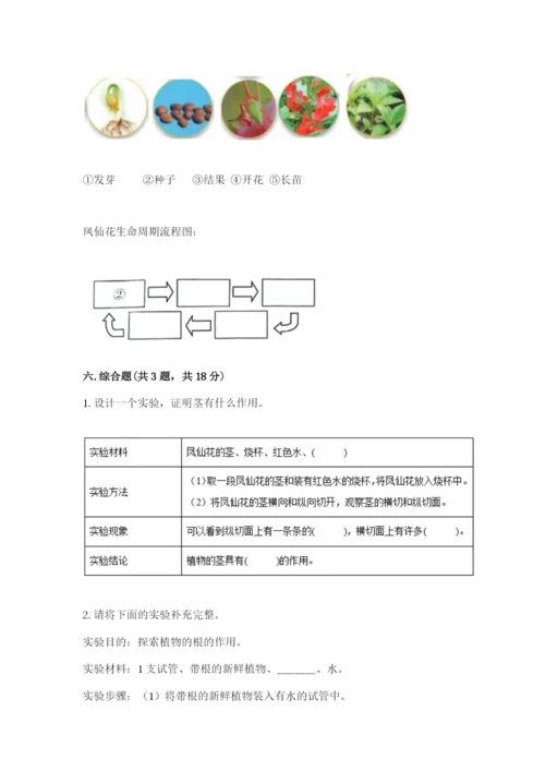 科学四年级下册第一单元植物的生长变化测试卷精品（考点梳理）.docx