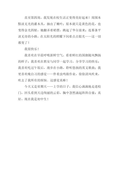 当初中生真好作文800字.docx