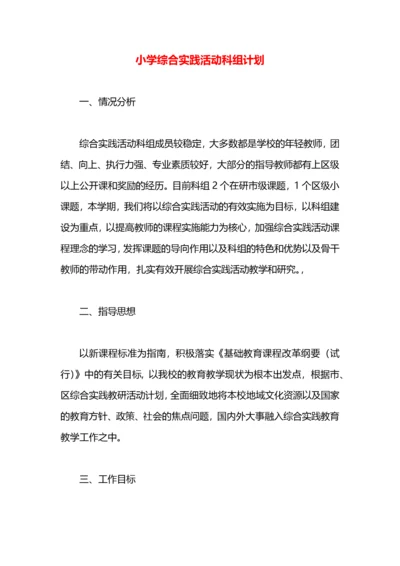 小学综合实践活动科组计划.docx