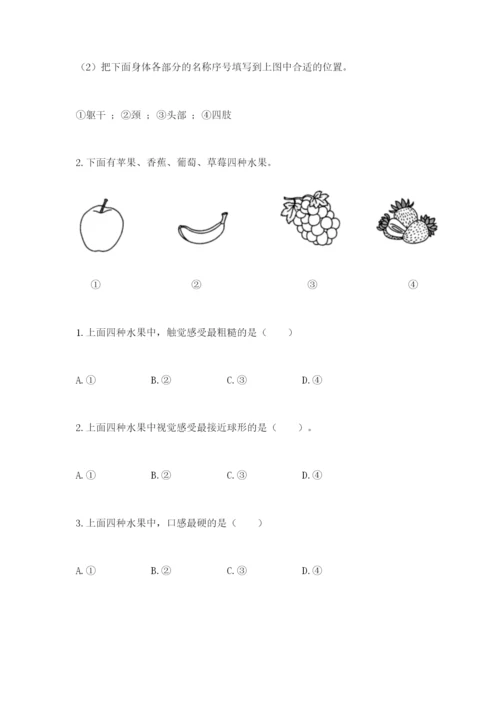 教科版二年级下册科学期末测试卷【考点梳理】.docx