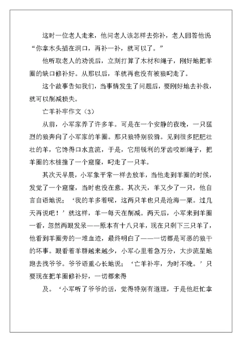 2022年亡羊补牢作文300字5篇