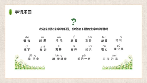 插画简约植物妈妈有办法课件PPT