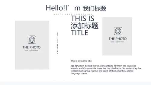 药品稽查工作总结动态PPT