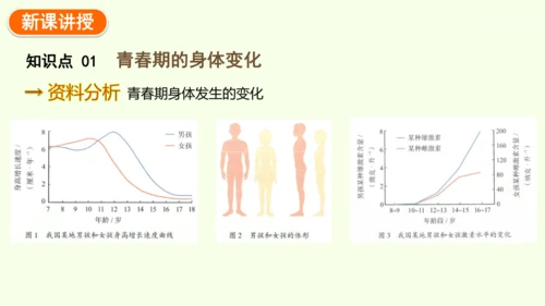 4.1.2 青春期-七年级生物下学期同步精品课件（2024人教版）(共27张PPT)