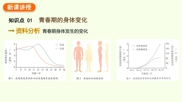4.1.2 青春期-七年级生物下学期同步精品课件（2024人教版）(共27张PPT)
