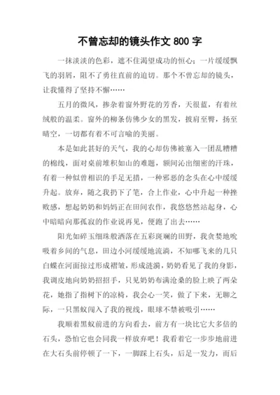 不曾忘却的镜头作文800字.docx