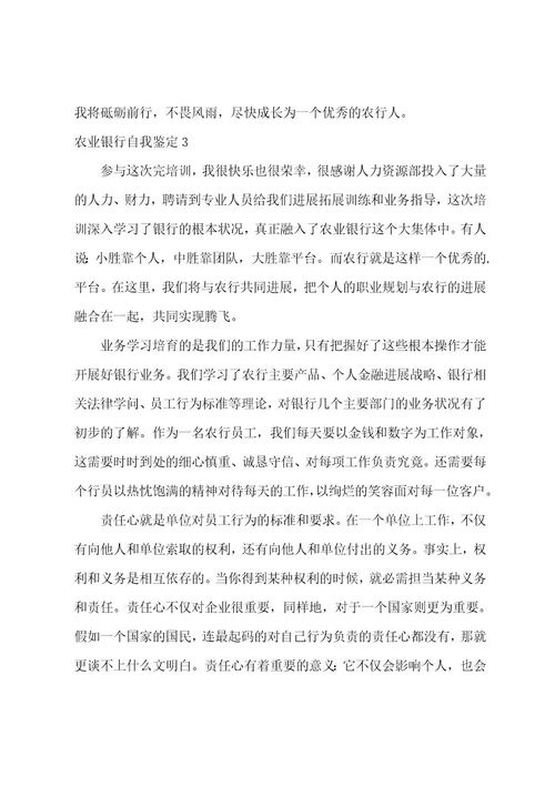 农业银行自我鉴定