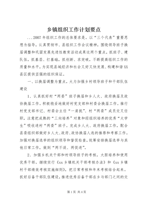 乡镇组织工作计划要点.docx