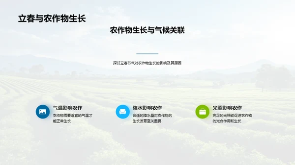 立春节气的奥秘解析