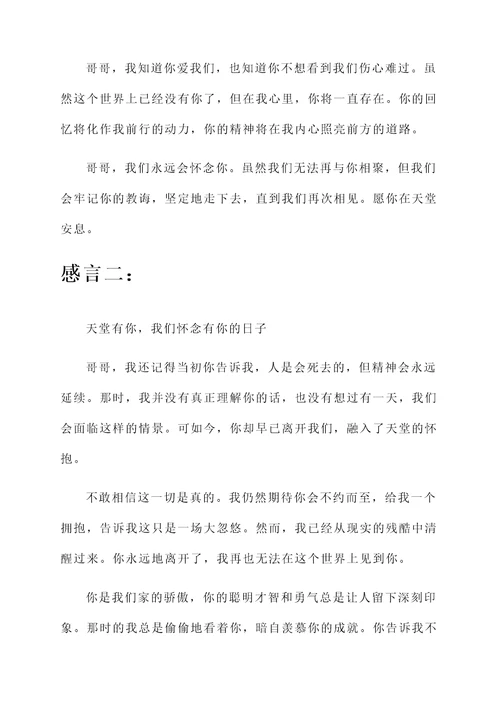 怀念天国的哥哥的感言