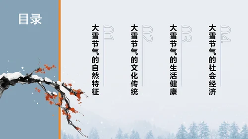 二十四节气之大雪PPT模板