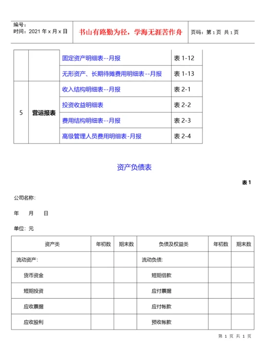 财务报表模板(全套).docx