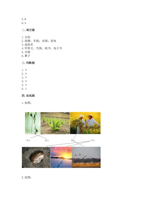 教科版科学二年级上册《期末测试卷》（考试直接用）.docx