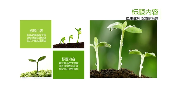 开场视频片头小苗生长发芽开花ppt模板
